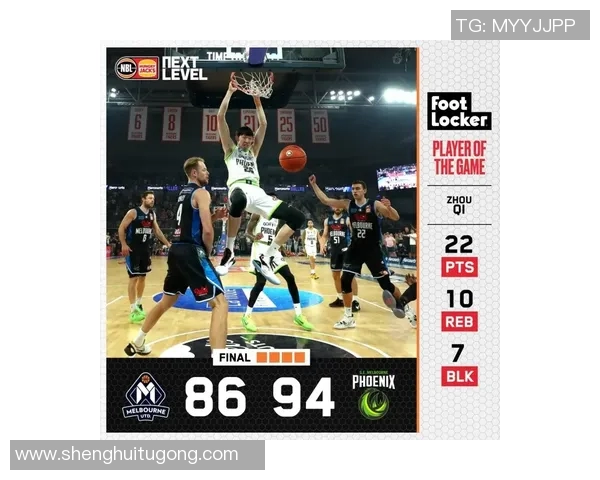 姚明蓝灵的传奇之路：从篮球巨星到文化使者的心灵旅程